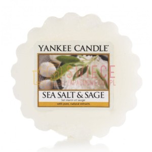 Yankee Candle Sea Salt & Sage Wosk