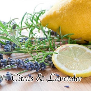 Milkhouse Candles CITRUS & LAVENDER Wosk