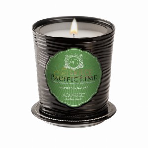 PACIFIC LIME ~ 11 oz Large Soy LUXE Tin Candle